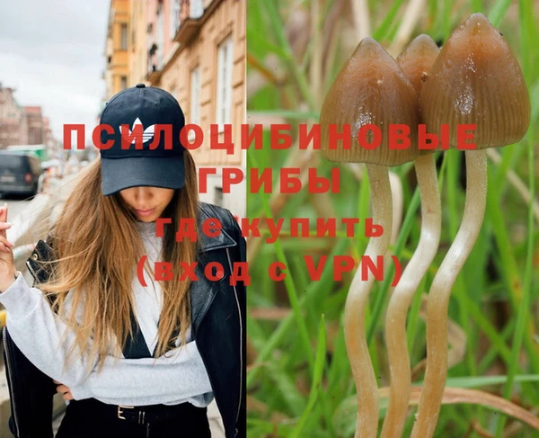 дживик Наволоки